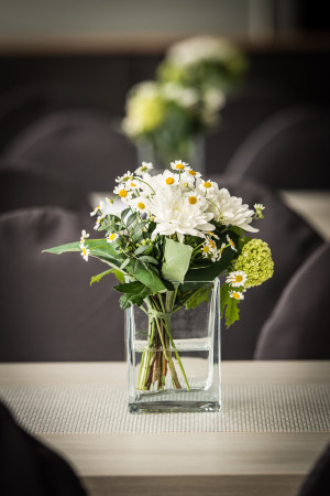 cook your future 2823 cook your future 2823